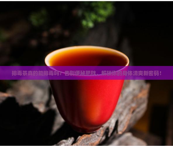 排毒茶的功效与作用