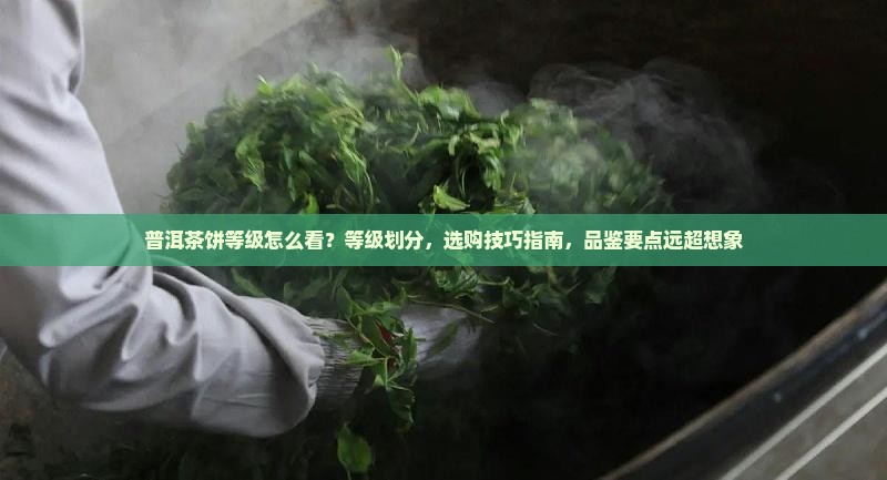 普洱茶饼等级怎么看