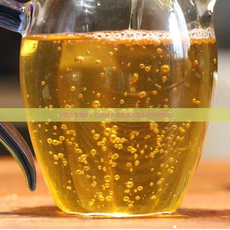 大雪山普洱茶寒么
