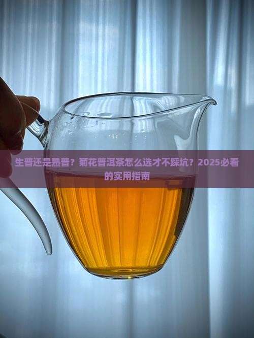 菊花普洱茶用生普还是熟普