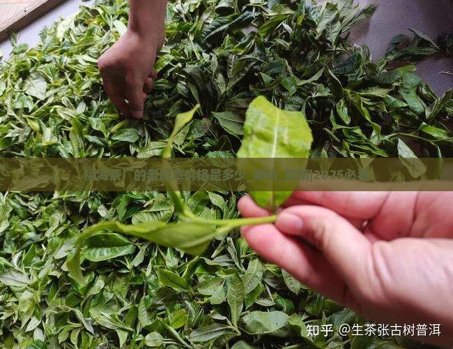 福海茶厂的老班章价格是多少