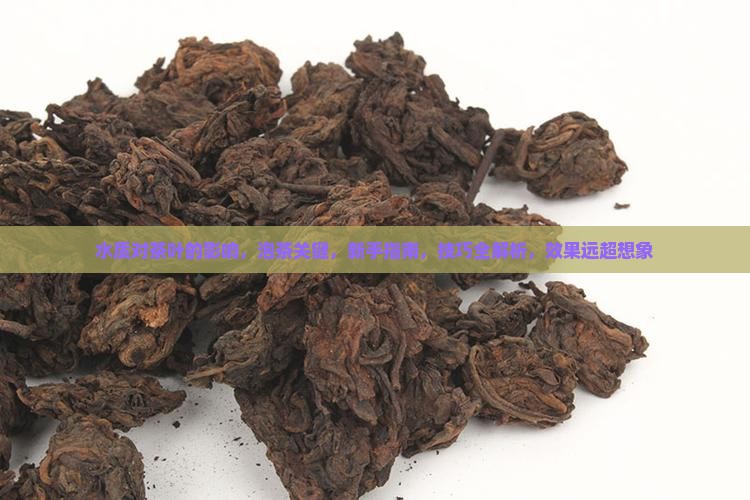水质对茶叶的影响 水质对茶叶的影响