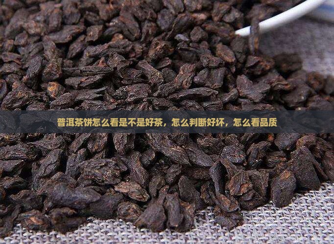 普洱茶饼怎么看是不是好茶
