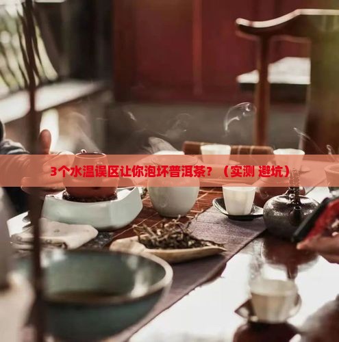泡普洱茶什么水温