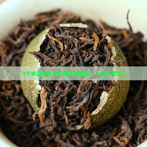 泡普洱茶什么水温