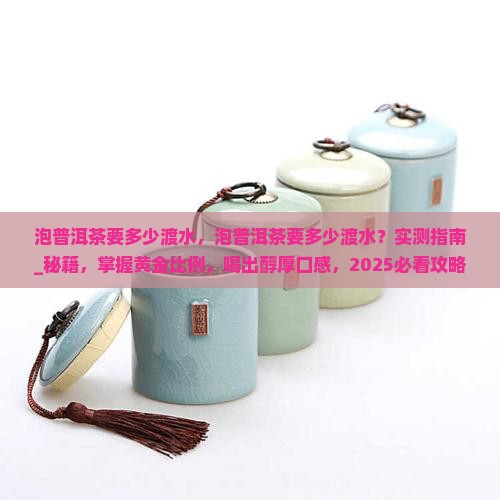 泡普洱茶要多少渡水