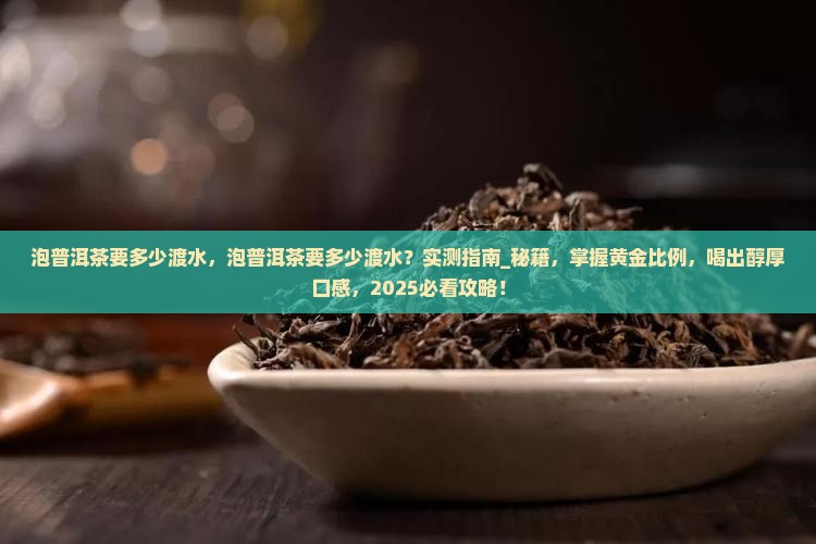 泡普洱茶要多少渡水
