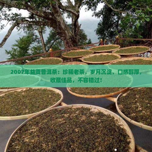 2007年益贡普洱茶
