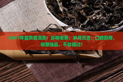 2007年益贡普洱茶