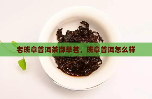 御举茗老班章怎么样