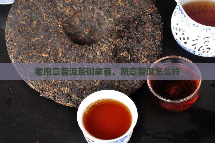 御举茗老班章怎么样