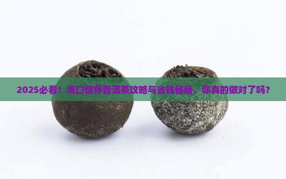 海口适合储存普洱茶吗