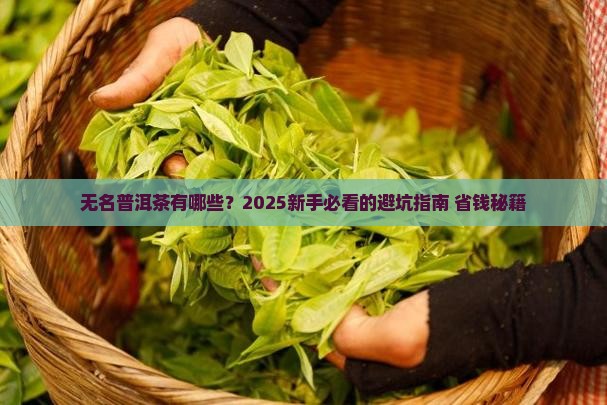 无品牌的普洱茶有哪些品种