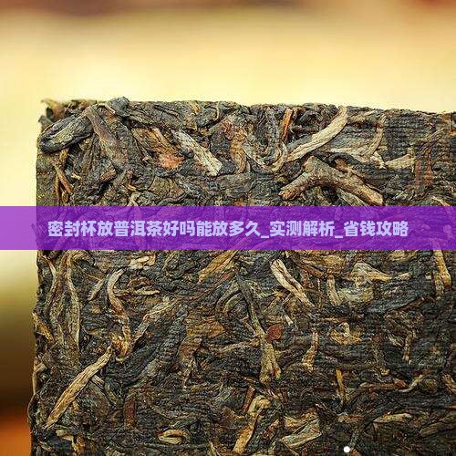 密封杯放普洱茶好吗能放多久