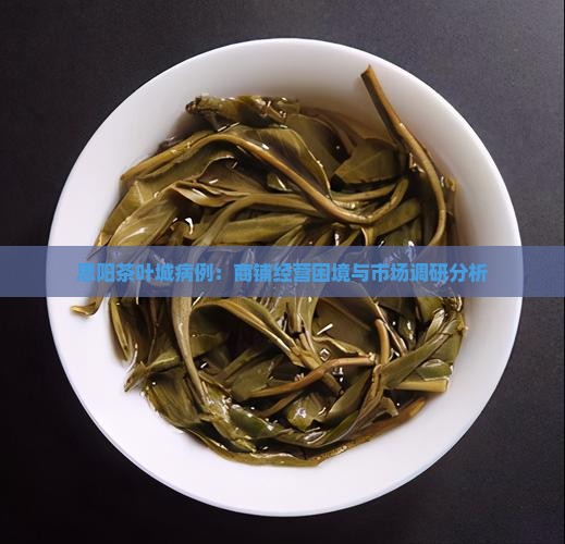 思阳茶叶城病例