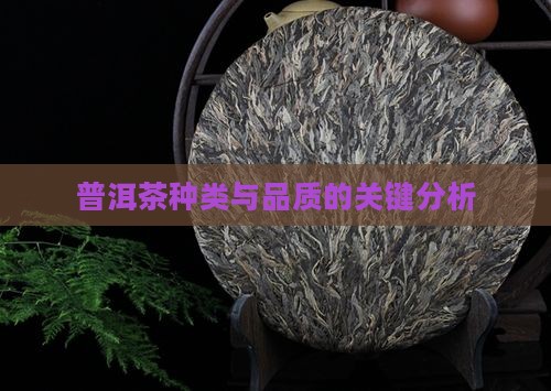 普洱茶种类和品质的关键