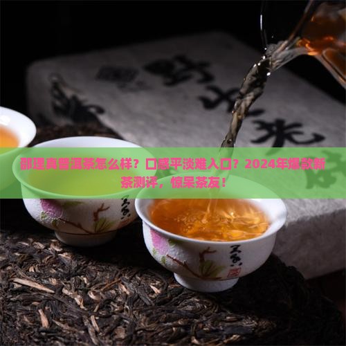 邵理真普洱茶怎么样