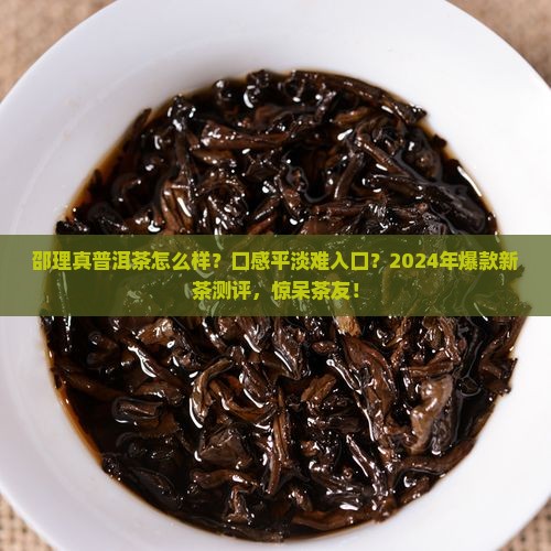 邵理真普洱茶怎么样