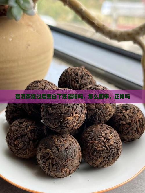 普洱茶泡过后变白了