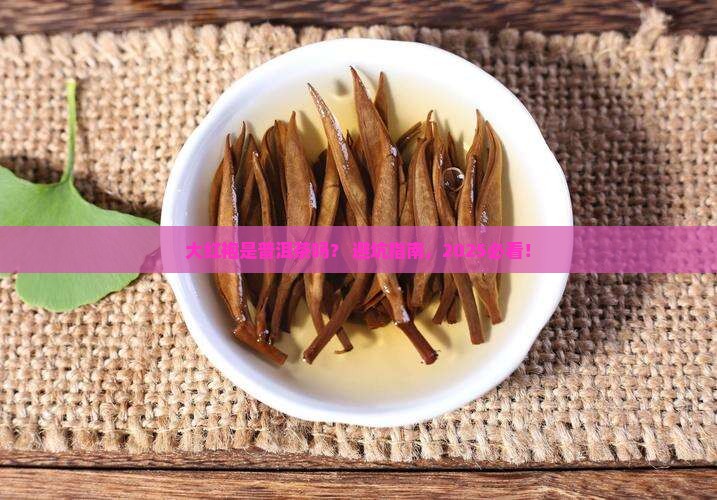 大红袍茶叶是普洱茶吗