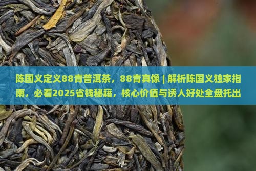陈国义定义88青普洱茶
