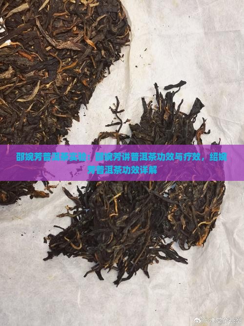 邵婉芳普洱茶实验