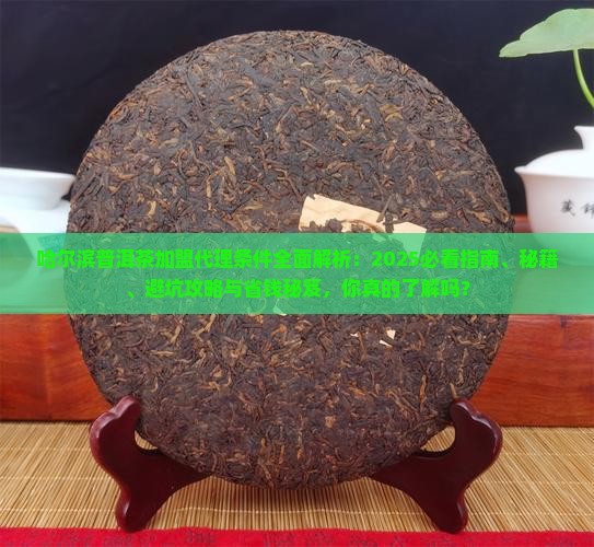 哈尔滨普洱茶加盟代理条件