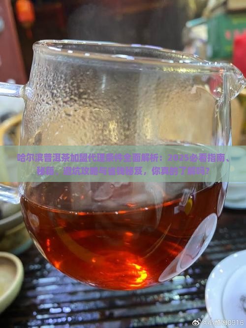 哈尔滨普洱茶加盟代理条件