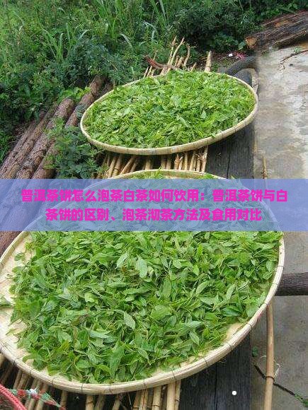 普洱茶饼怎么泡茶白茶如何饮用