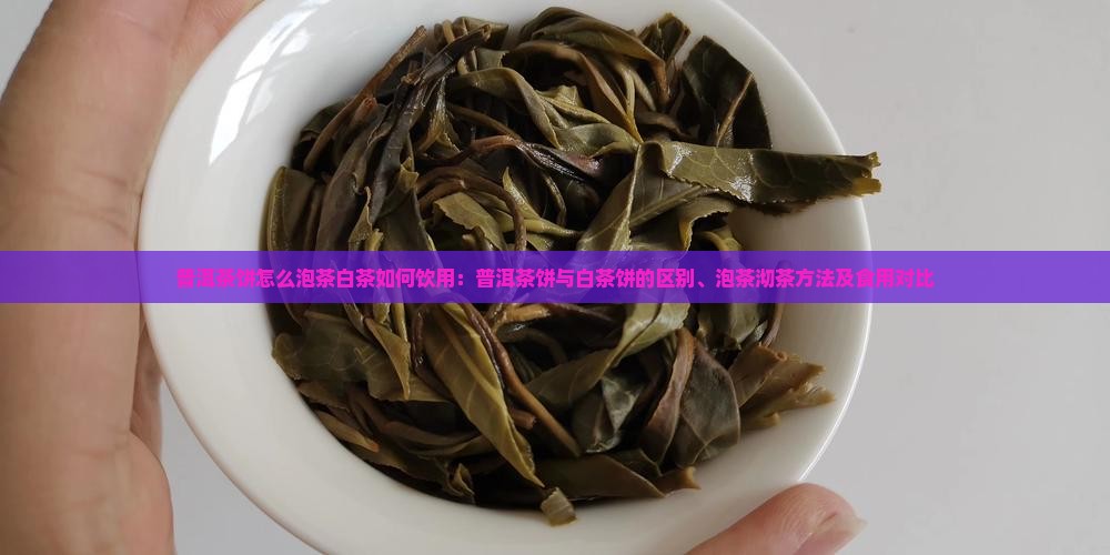 普洱茶饼怎么泡茶白茶如何饮用