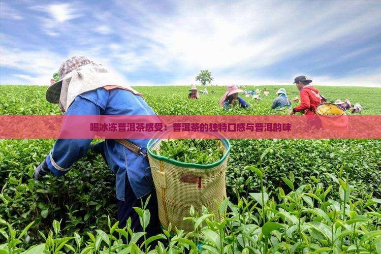 喝冰冻普洱茶感受