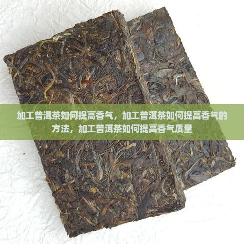 加工普洱茶如何提高香气