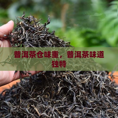 普洱茶仓味特别重