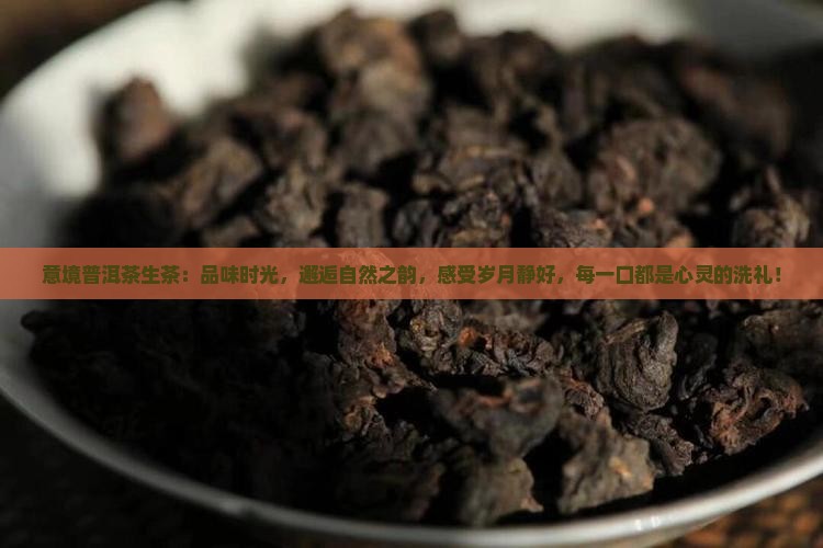 意境普洱茶生茶