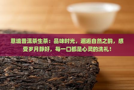 意境普洱茶生茶