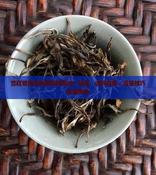 宫廷普洱茶推荐哪款茶饼