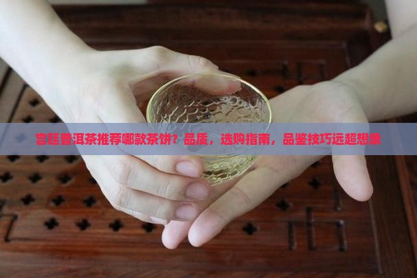 宫廷普洱茶推荐哪款茶饼
