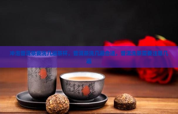 冲泡普洱茶要洗几遍茶杯