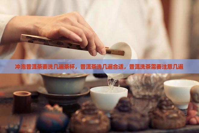冲泡普洱茶要洗几遍茶杯