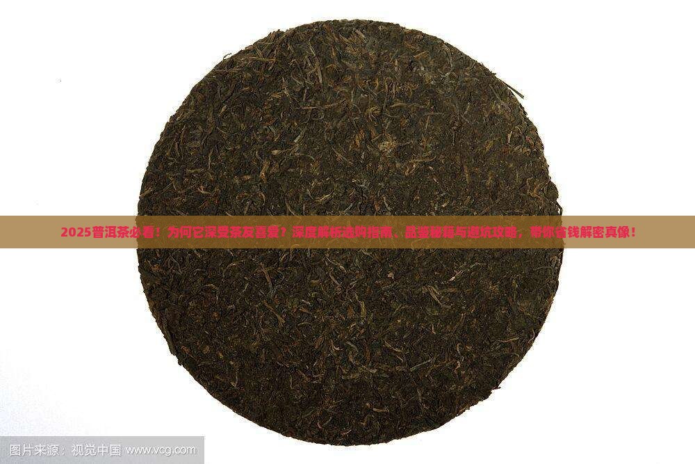 普洱茶深受茶友喜爱