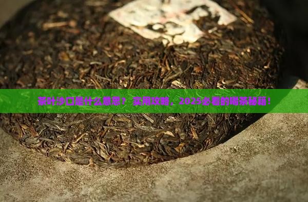 茶叶沙口是什么意思
