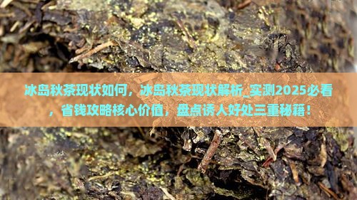 冰岛秋茶现状如何