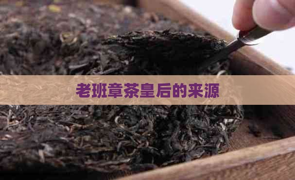 老班章茶皇后的来源