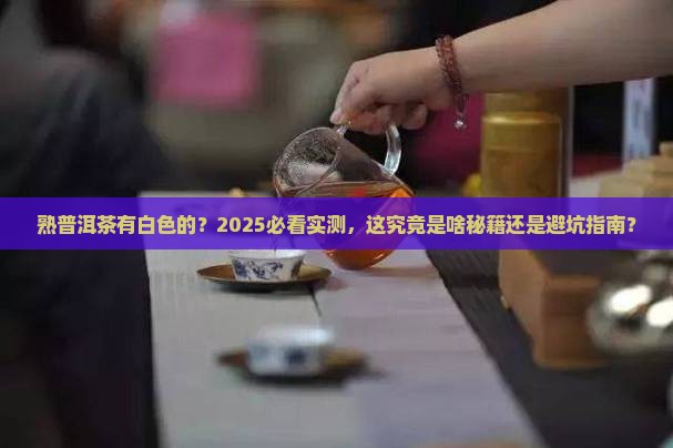 熟普洱茶有白色的