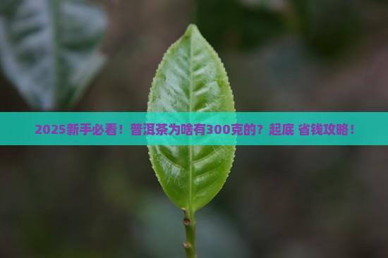 普洱茶为啥有300克的