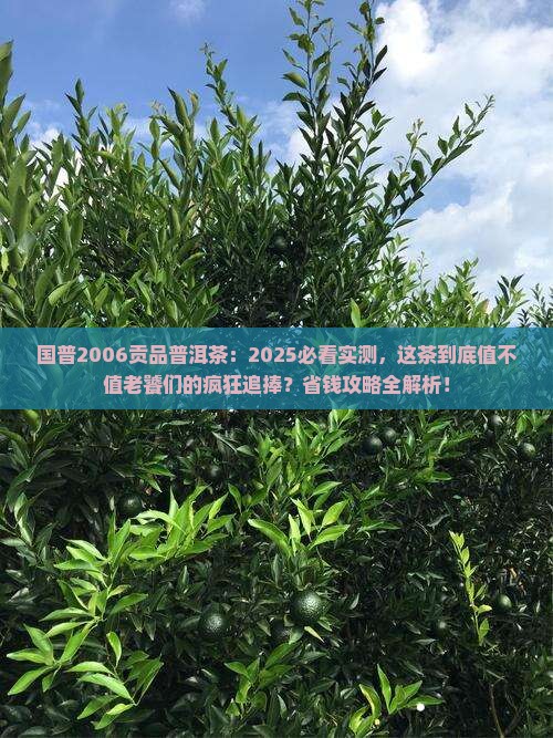 国普2006贡品普洱茶
