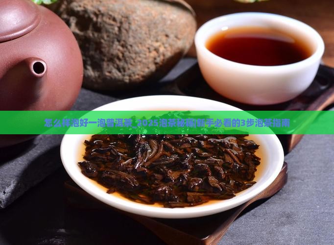 怎么样泡好一泡普洱茶