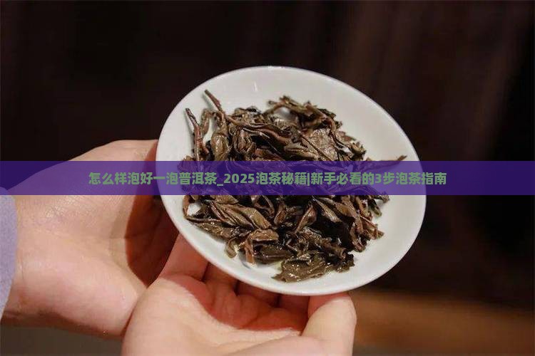 怎么样泡好一泡普洱茶