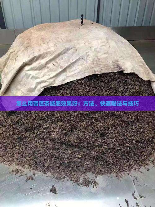 怎么用普洱茶减肥效果好 怎么用普洱茶减肥效果好