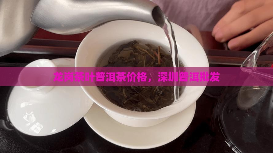 龙岗茶叶普洱茶价格